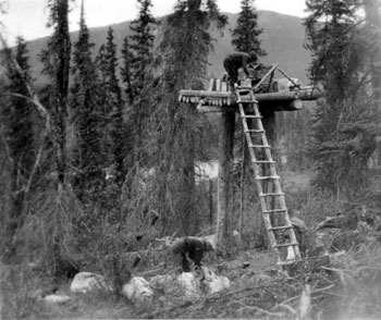 “An open cache - temporary protection from a wandering bear.” Pelly River area, ca. 1929.