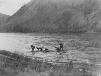 “Another mode of northern travel: not so ‘hot’ for speed but always cheap enough. Jinks and Pete crossing on a raft. May 1930”
