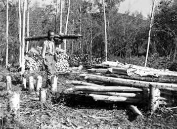 Claude stacking logs at Forty Mile. 1937