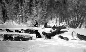“General view of our lunch camp on Little Salmon Lake.” February, 1928