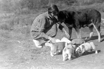 “Breakfast time June 1928.” Mary feeds Queenie and her puppies.