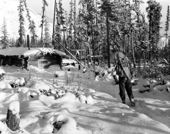 Claude returning home to the cabin at Twelve Mile, ca. 1938.