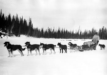 “Mr. Holder and his dog team on the Pelly River above Pelly Banks.” ca. 1920s