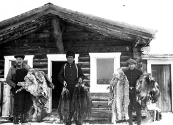 Men preparing furs for shipment in front of Taylor and Drury store at Ross River. The man on the left is likely Roy Buttle, who managed the post. William Atkinson, who broke trail for the Tidds in the winter and delivered their mail via dog sled, is in the centre.