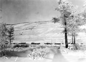 Isn't this 'some' place to live and call home?” Ross River community, ca. 1930.