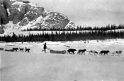 “Good Travelling on the Yukon River near Carmacks. Returning from Whitehorse March 1928.” The return trip to Ross River was much faster, as the party had broken trail on the way to Whitehorse.
